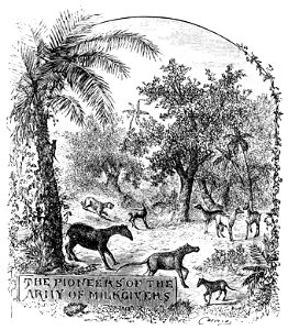 PSM V22 D768 The pioneers of the first milk givers