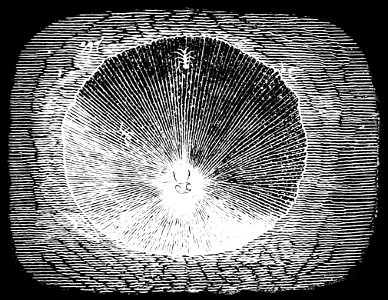 PSM V16 D809 Pit of ant lion