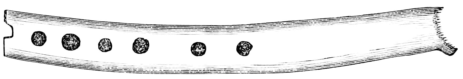 PSM V22 D467 Prehistoric flute made of bone