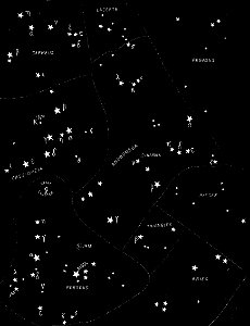 PSM V32 D073 Cepheus lacerta and pegasus