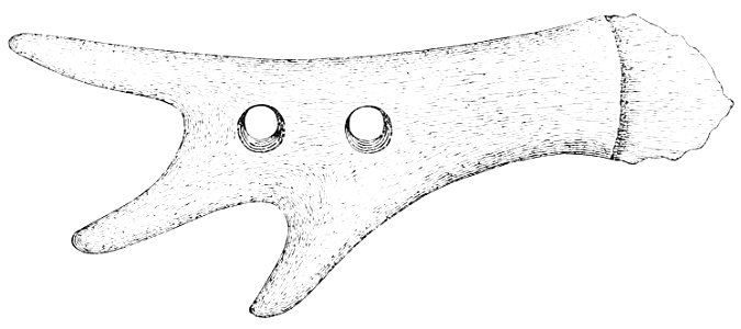 PSM V22 D465 Horns used as ancient agricultural implements
