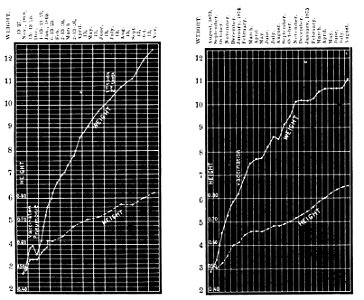 PSM V31 D333 Curve of the increase of height and weight