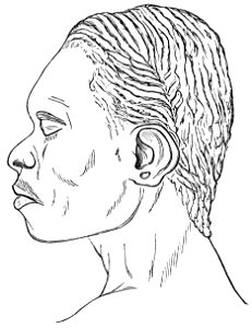 PSM V18 D770 Bust of a toud islander of torres straits