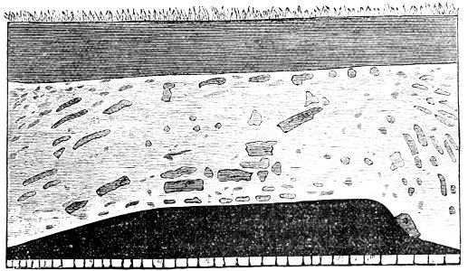 PSM V20 D311 Section of a room in the basilica of silchester