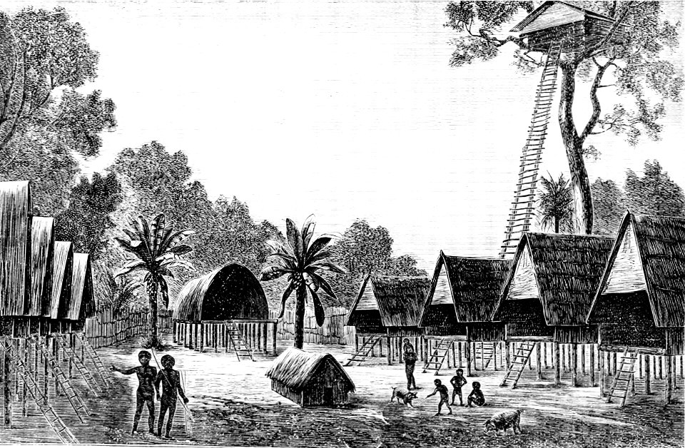 PSM V20 D342 A village of the mahori papuans