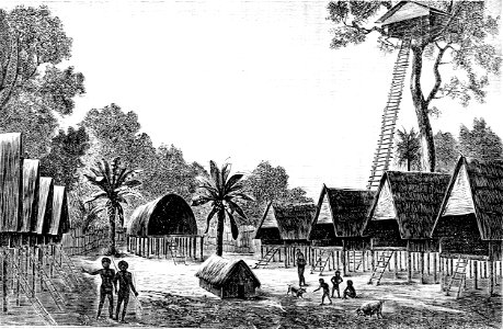 PSM V20 D342 A village of the mahori papuans