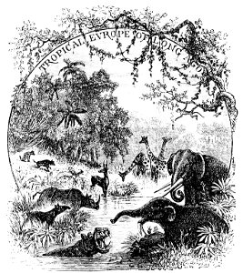 PSM V22 D770 Tropical europe of long ago