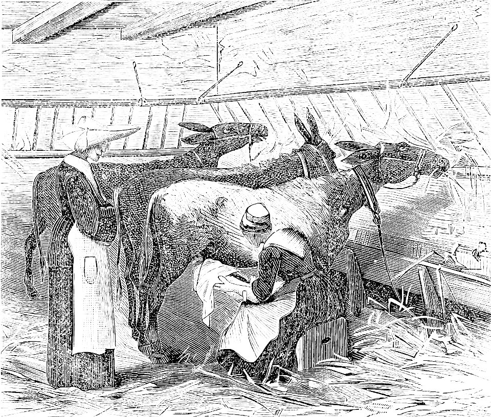 PSM V22 D440 Ass milk nursery at the hospital for assisted children in paris