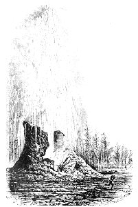 PSM V12 D426 The giant geyser