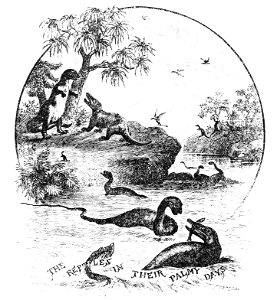 PSM V22 D763 Early reptiles