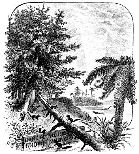PSM V22 D767 First known mammals