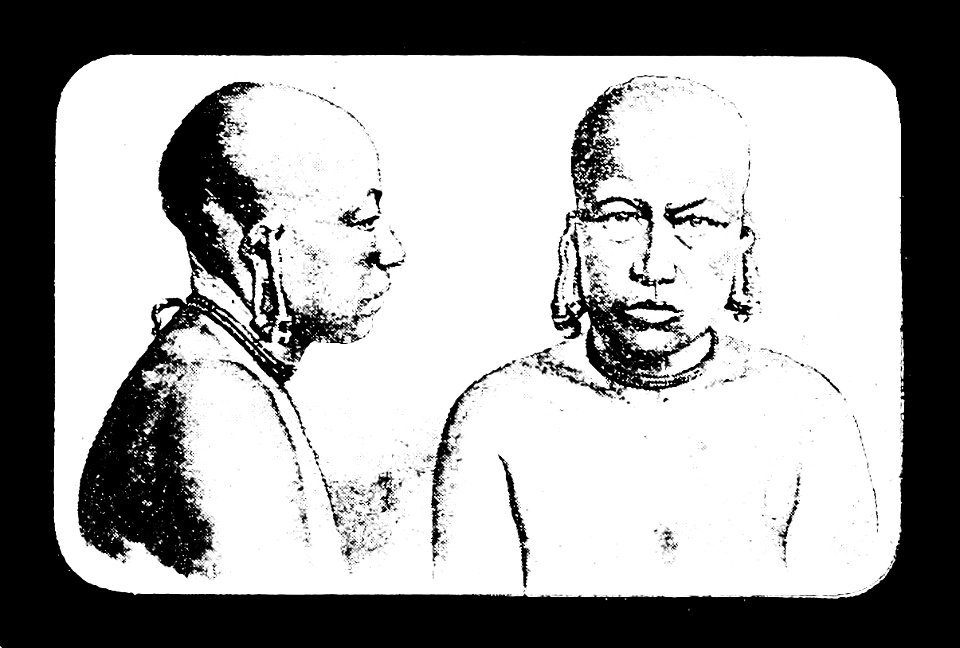 PSM V39 D508 Anchorite islanders with slit ears