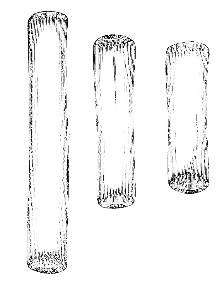 PSM V22 D463 Shaped and polished prehistoric animal bones