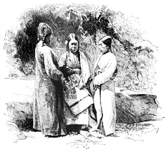 PSM V39 D512 Native american women in traditional dress