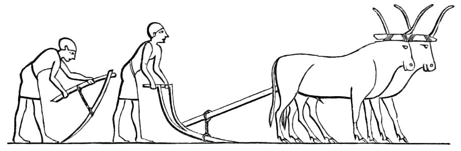 PSM V18 D467 Ancient egyptian hoe and plough. Free illustration for personal and commercial use.