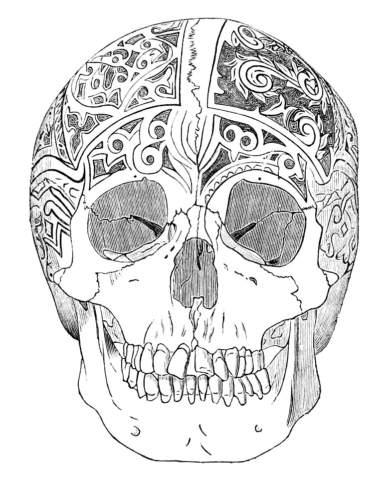 PSM V18 D765 Negrito skull of borneo carved by the dayaks