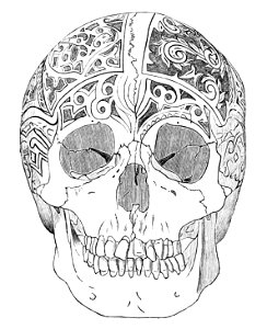 PSM V18 D765 Negrito skull of borneo carved by the dayaks