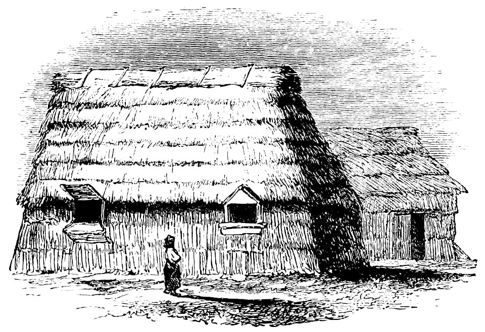 PSM V33 D514 Ainu houses