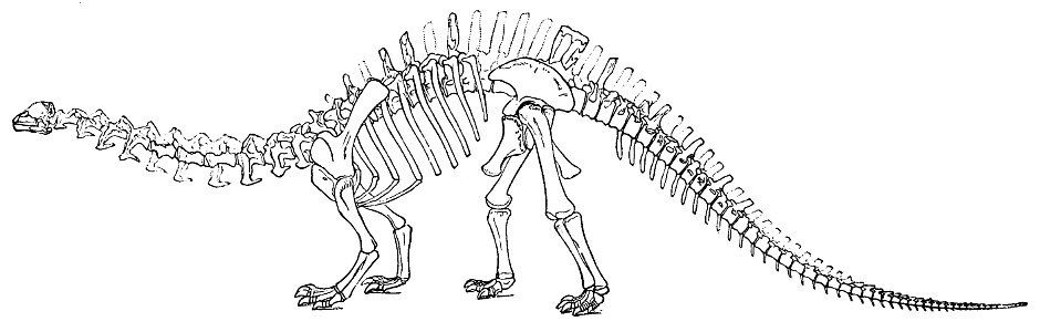 PSM V34 D488 Brontosaurus