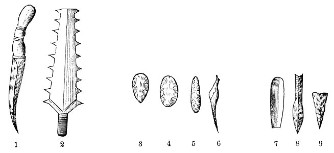 PSM V21 D088 Paleolithic neolithic and animal form weapons