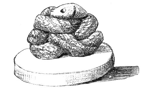 PSM V31 D093 Feathered serpent