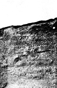 PSM V34 D040 Artificial cliff of trenton gravels