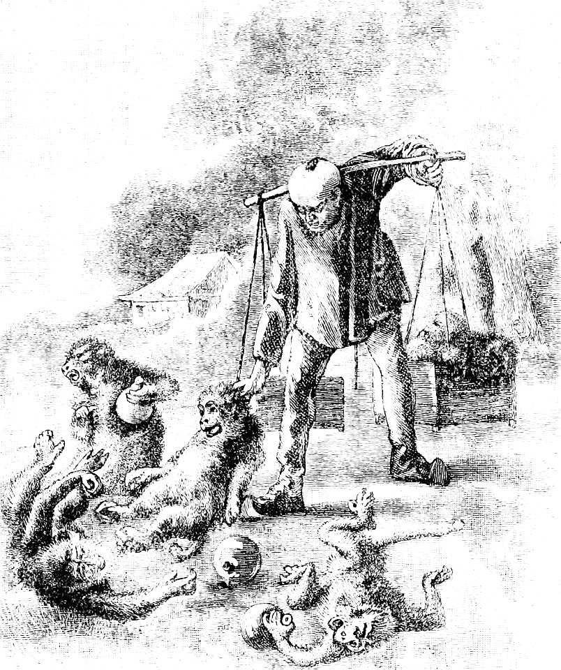 PSM V22 D623 The wages of sin drunken macaques