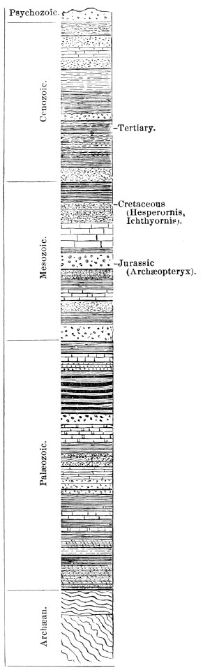 PSM V36 D398 Section of the earth crust