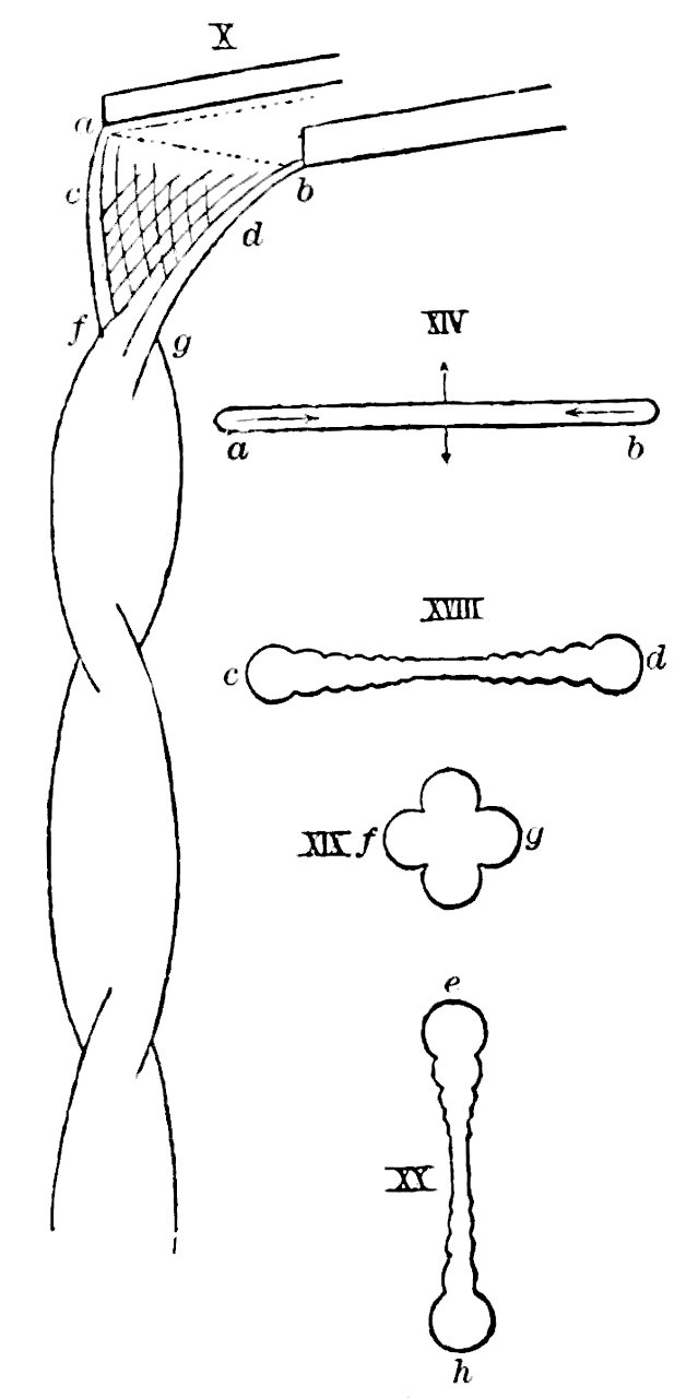 PSM V39 D670 Form and constitution of a liquid sheet falling
