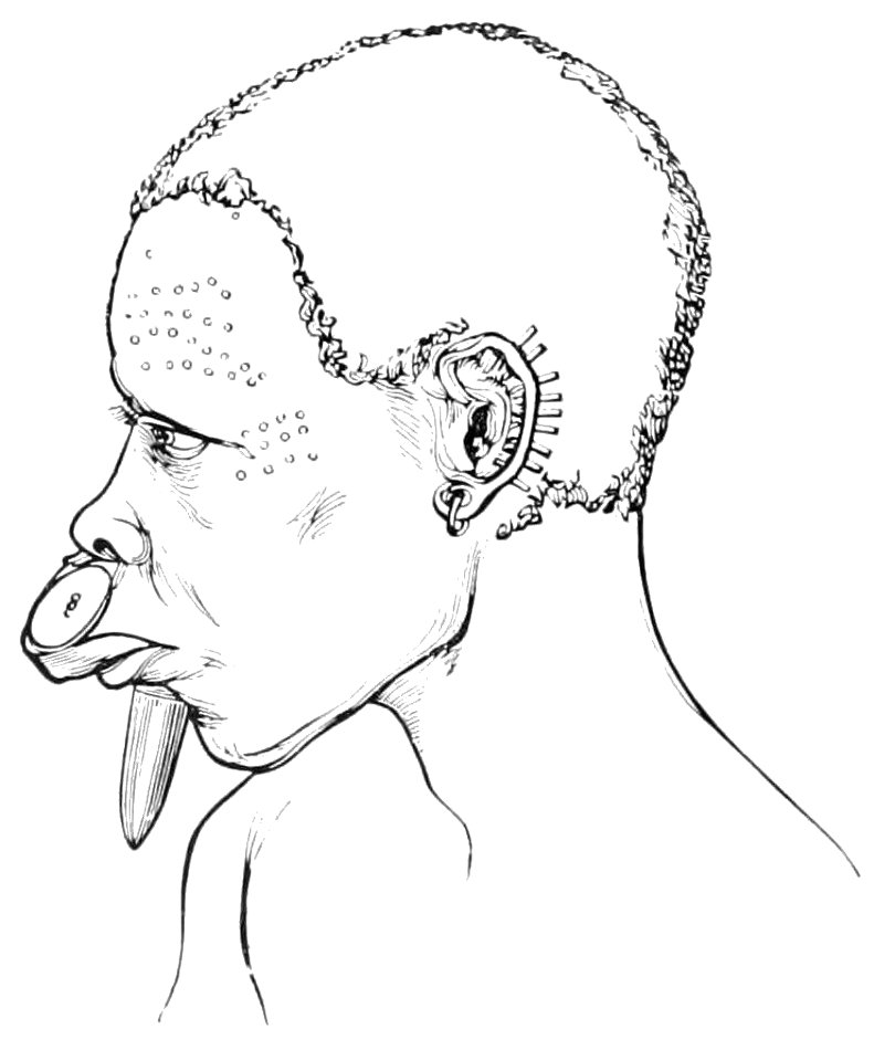 PSM V39 D506 African wearing lip ornaments