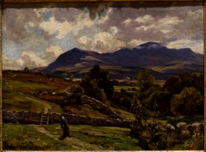 RAMM Hughes-Stanton - Cader Idris, North Wales