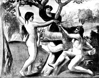 PSM V42 D784 The fall of man