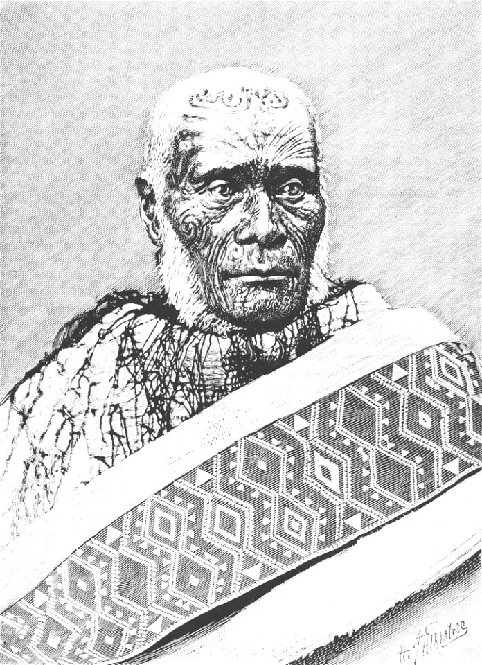 PSM V42 D805 Tattooed maori chief