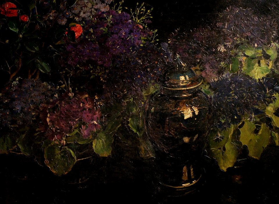 Ranken, William Bruce Ellis; Cinerarias