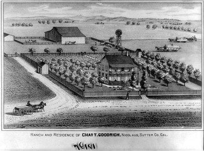 Ranch and residence of Chas. T. Goodrich. Nicholas, Sutter Co. Cal LCCN2004669136