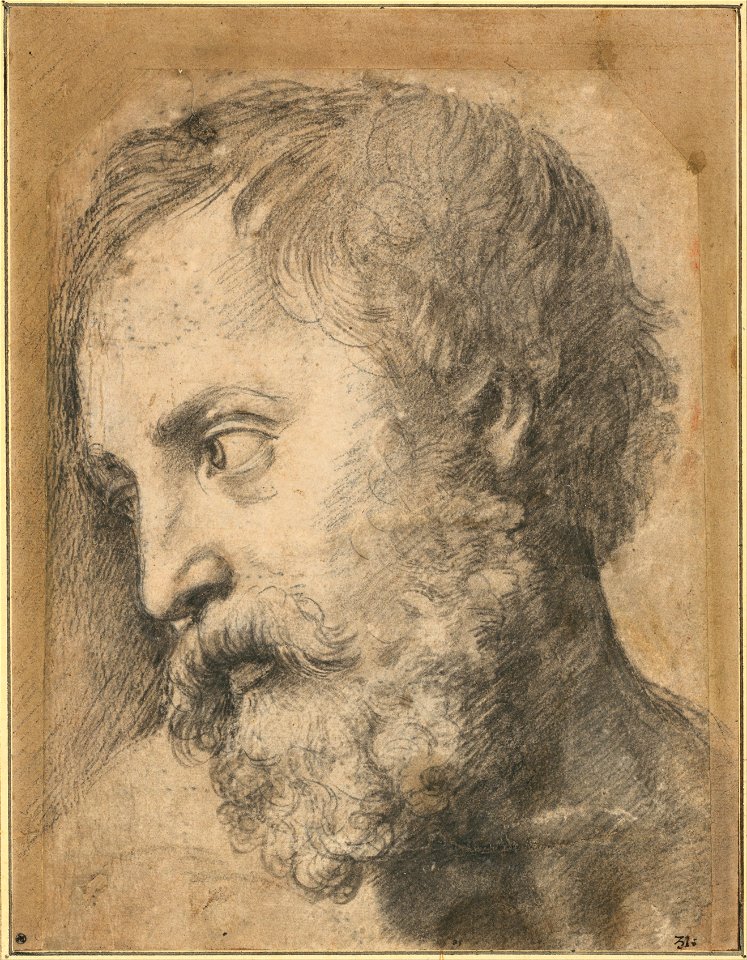Raphael - Head of An Apostle in the Transfiguration, 1519-1520 - Google Art Project