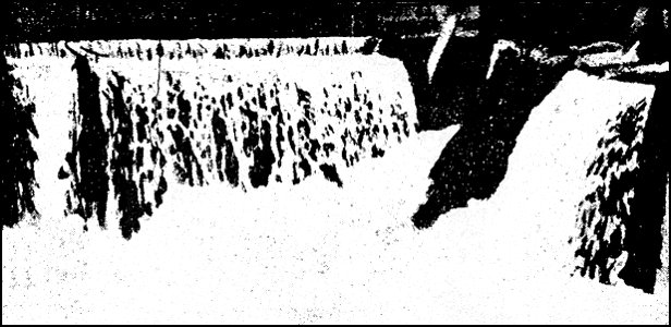 PSM V39 D674 Cords formed on the edges of liquid tongues