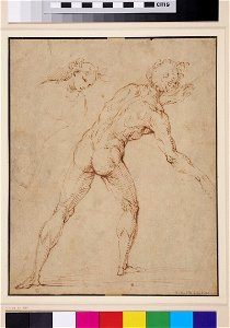 Raphael - after - Recto Back View of a nude Man, WA1846.265