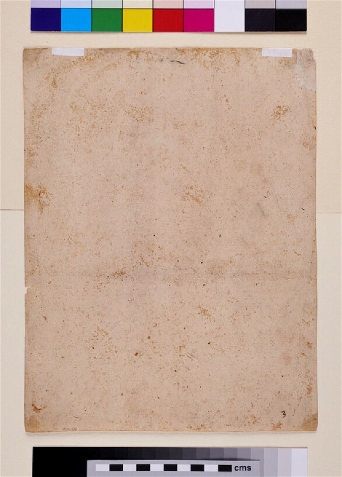 Raphael - after - Head of the Virgin, WA1976.193, v