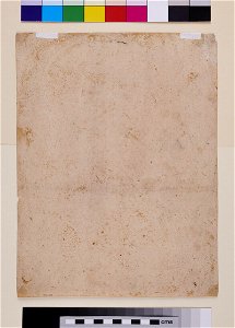Raphael - after - Head of the Virgin, WA1976.193, v
