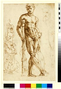 Raphael - formerly attributed to - Recto The youthful Hercules, WA1846.259