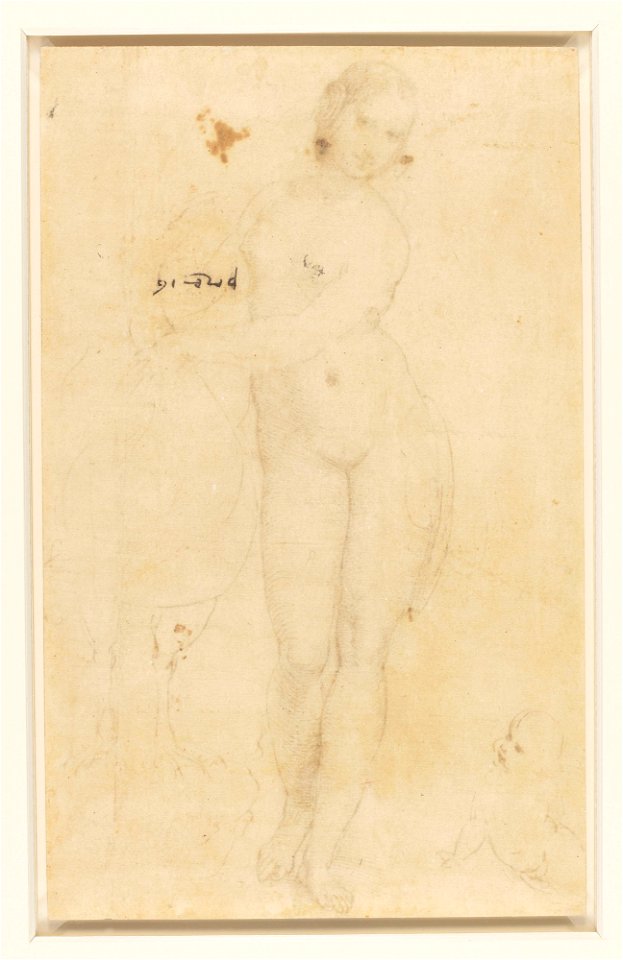 Raphael - Leda and the swan c.1507, RCIN 912759, v