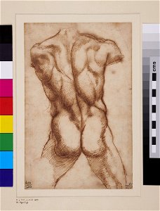 Raphael - formerly attributed to - The Torso of Aristogeiton, WA1846.257