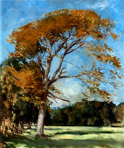 Ranken, William Bruce Ellis; The Yellow Tree