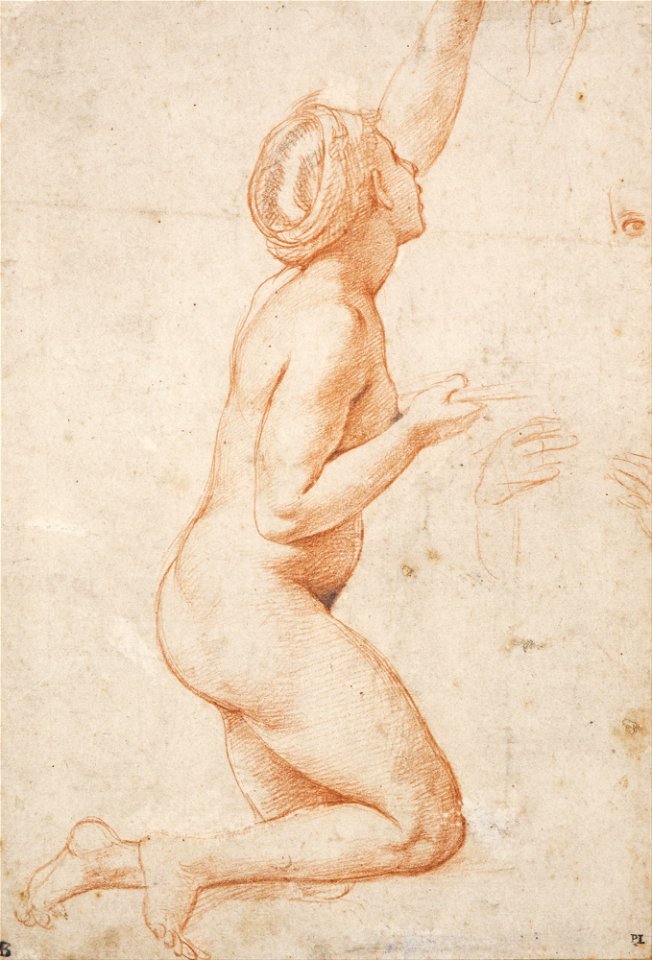 Raphael (Raffaello Santi) - A Kneeling Nude Woman with her Left Arm Raised - Google Art Project