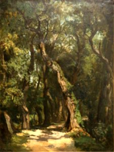 Raphaël Ponson - Sous-bois à Sainte-Marguerite