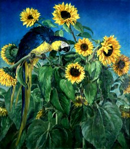 Ranken, William Bruce Ellis; Macaw and Sunflowers