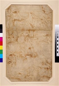 Raphael - follower of - Recto Studies of the Heads of Monsters, WA1846.233