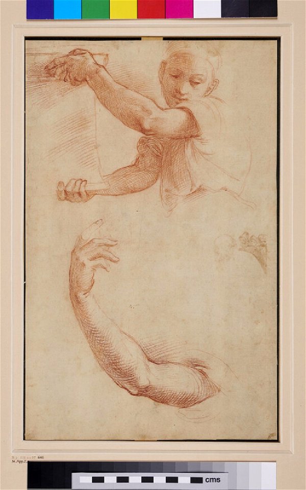 Raphael - after - Recto Studies of a Model posing as an Angel and of an Arm, WA1846.278