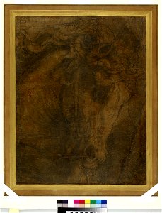 Raphael - The Head of a Horse, WA1846.197